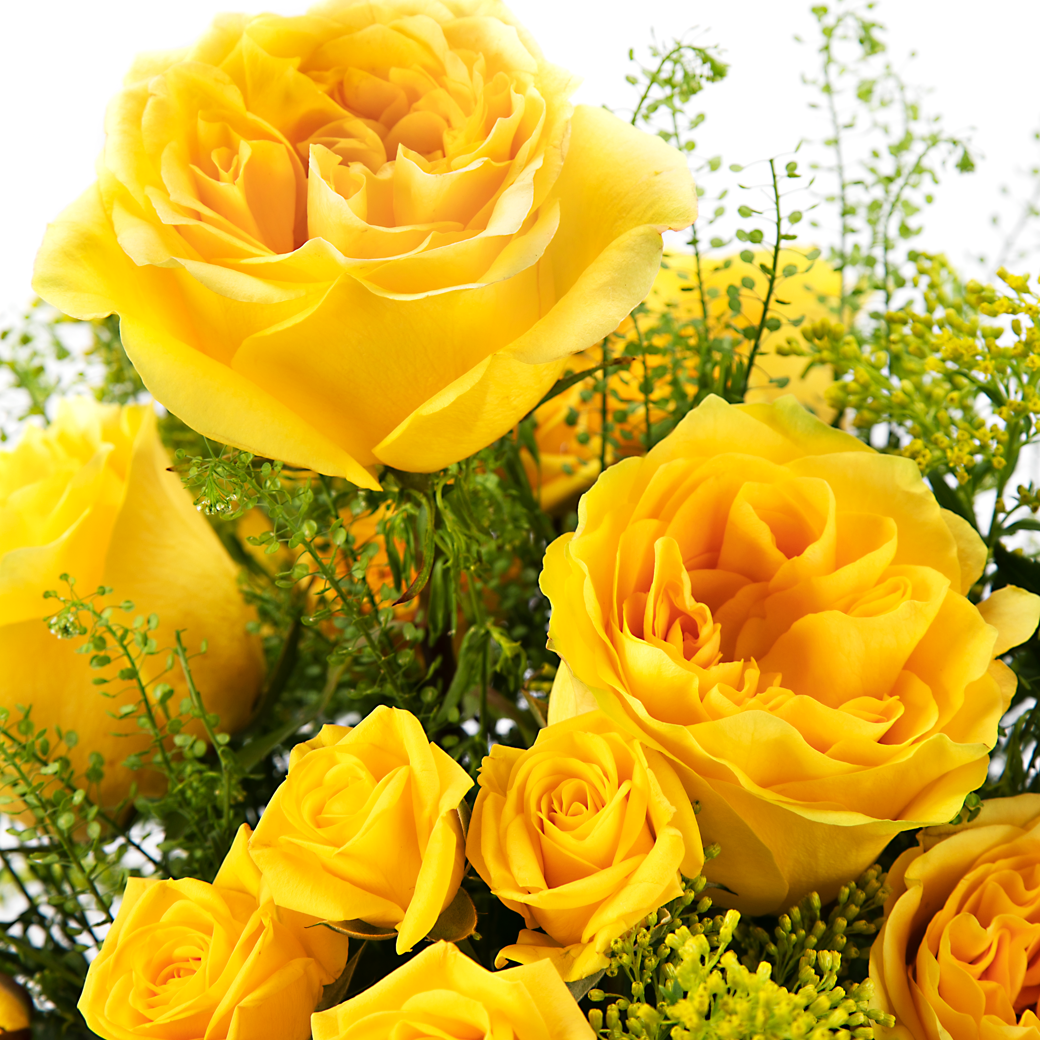 beautiful yellow roses bouquet