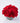 Ruby Red Roses