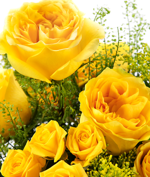 POMP Flowers | Roses Delivery | Next Day Rose Delivery Service Online