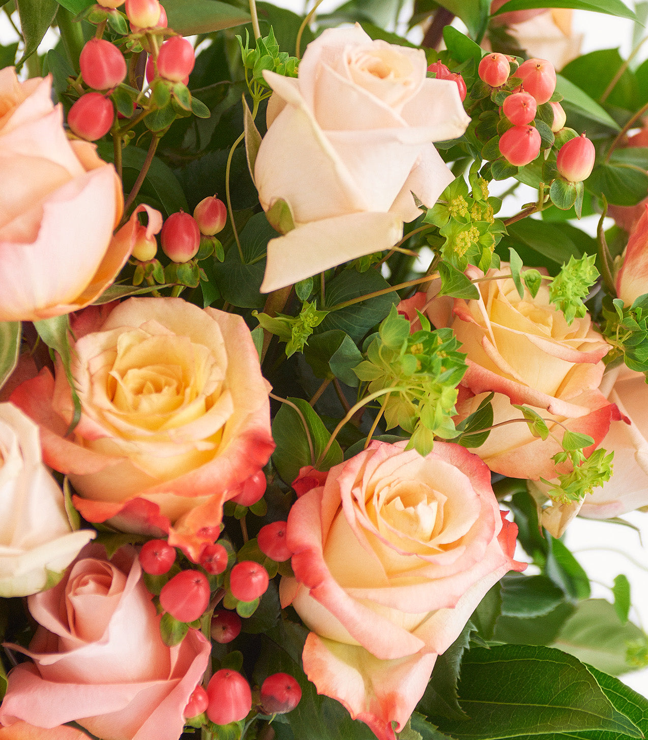 Apricot Spray Roses Peach Spray Roses