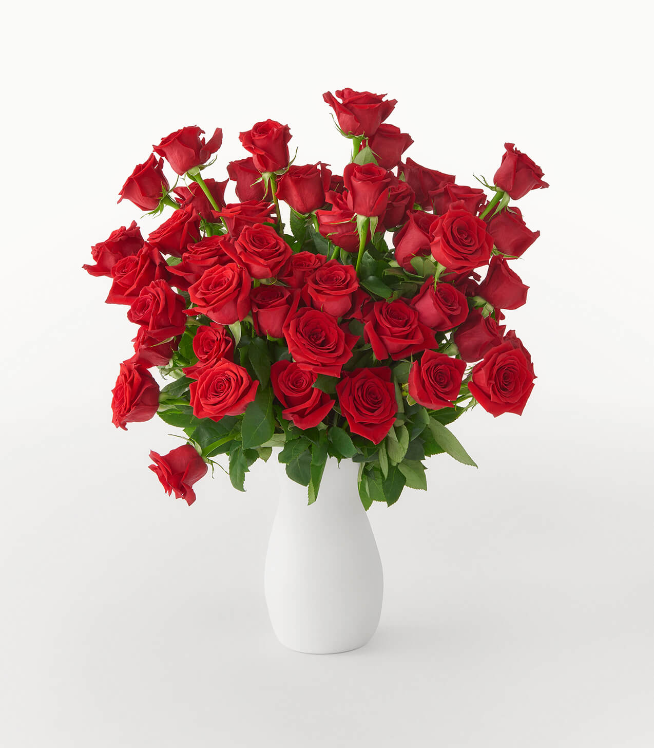 Ruby Red Roses Image Ruby Red Rose Delivery | POMP Flowers