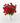 Ruby Red Roses (Thnks)