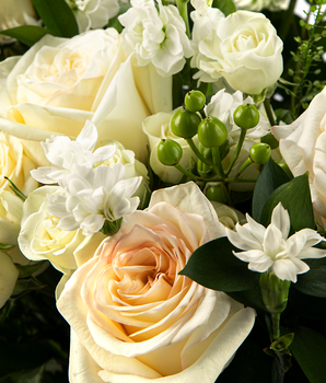 POMP Flowers | Roses Delivery | Next Day Rose Delivery Service Online