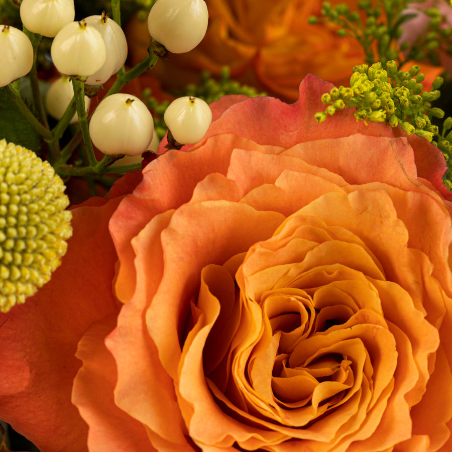 Solstice - Golden Rose Bouquet Delivery | POMP Flowers